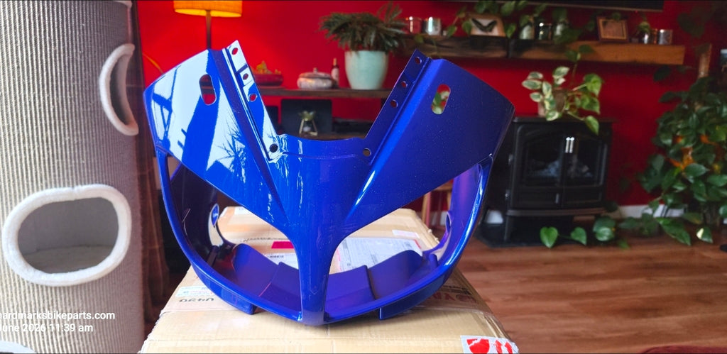 Yamaha FZS 1000 DPMBC front fairing - Nosecone Brand new genuine Yamaha ♥️