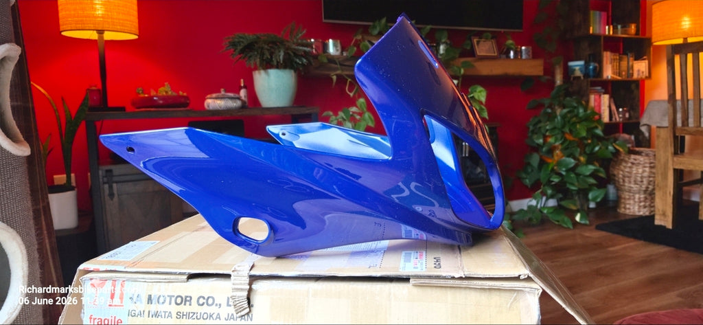 Yamaha FZS 1000 DPMBC front fairing - Nosecone Brand new genuine Yamaha ♥️