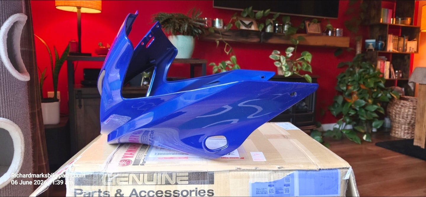 Yamaha FZS 1000 DPMBC front fairing - Nosecone Brand new genuine Yamaha ♥️